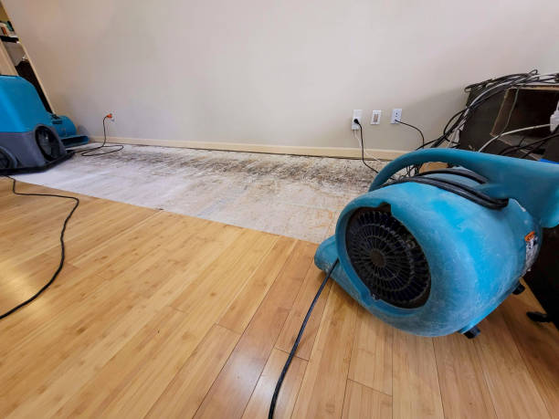 Professional Flood Damage Cleanup technician working in Edgerton, MO